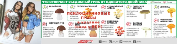 соль ск Богородск