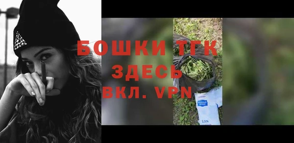 соль ск Богородск
