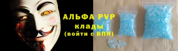 шишки Белоозёрский