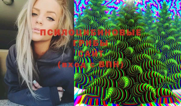 марки lsd Богородицк