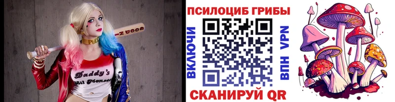 где купить наркоту  Красный Сулин  Псилоцибиновые грибы Psilocybine cubensis 